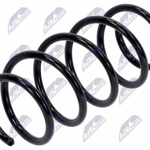 Molle ammortizzatori NTY ASZ-RE-022