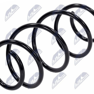 Molle ammortizzatori NTY ASZ-RE-013