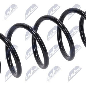 Molle ammortizzatori NTY ASZ-RE-001