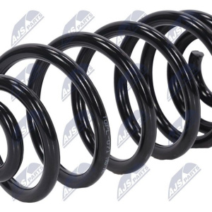 Molle ammortizzatori NTY ASZ-PL-071