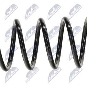 Molle ammortizzatori NTY ASZ-PL-032