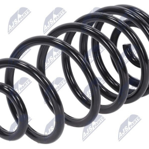 Molle ammortizzatori NTY ASZ-PL-009