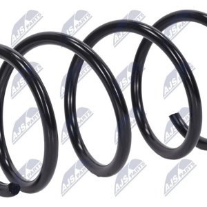 Molle ammortizzatori NTY ASZ-PE-024