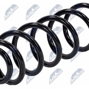 Molle ammortizzatori NTY ASZ-PE-017