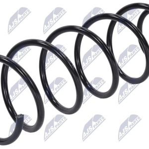 Molle ammortizzatori NTY ASZ-PE-016