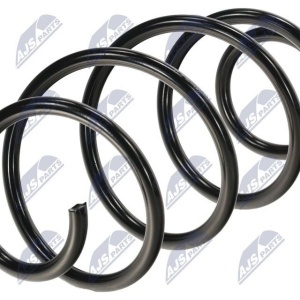 Molle ammortizzatori NTY ASZ-PE-007