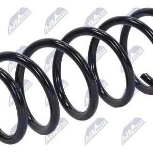 Molle ammortizzatori NTY ASZ-NS-034