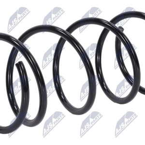 Molle ammortizzatori NTY ASZ-NS-032