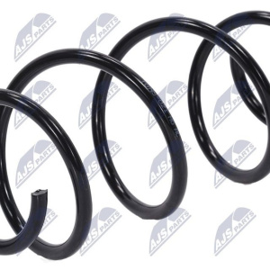 Molle ammortizzatori NTY ASZ-NS-021