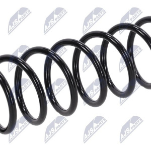 Molle ammortizzatori NTY ASZ-NS-006