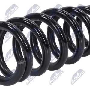 Molle ammortizzatori NTY ASZ-MS-015