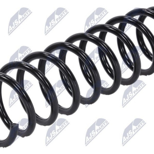 Molle ammortizzatori NTY ASZ-MS-012