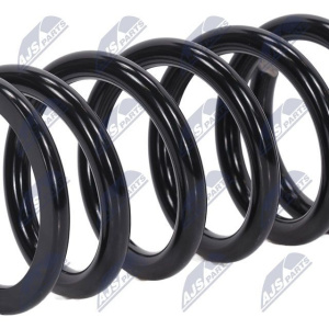 Molle ammortizzatori NTY ASZ-MS-003