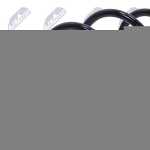 Molle ammortizzatori NTY ASZ-FR-049