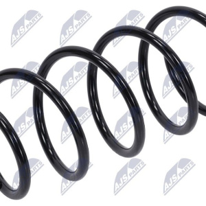 Molle ammortizzatori NTY ASZ-FR-047