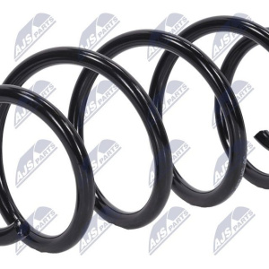 Molle ammortizzatori NTY ASZ-FR-037