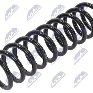 Molle ammortizzatori NTY ASZ-FR-031