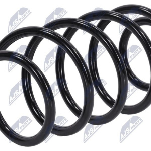 Molle ammortizzatori NTY ASZ-FR-009