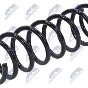 Molle ammortizzatori NTY ASZ-FR-008