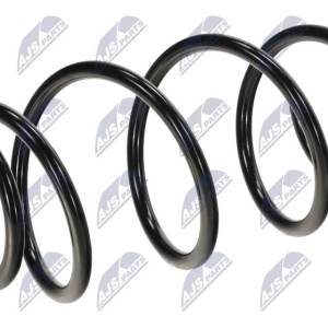 Molle ammortizzatori NTY ASZ-FR-006