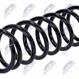 Molle ammortizzatori NTY ASZ-FR-003