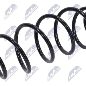 Molle ammortizzatori NTY ASZ-CT-049