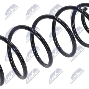 Molle ammortizzatori NTY ASZ-CT-042