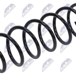 Molle ammortizzatori NTY ASZ-CT-013