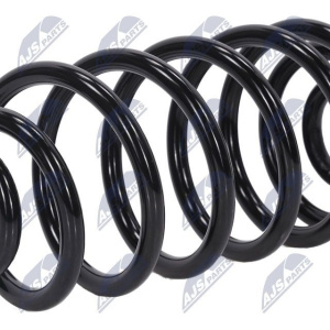 Molle ammortizzatori NTY ASZ-CH-009