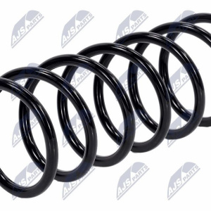 Molle ammortizzatori NTY ASZ-BM-028