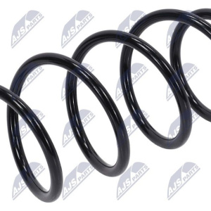 Molle ammortizzatori NTY ASZ-BM-000