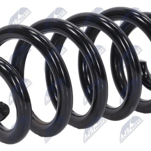 Molle ammortizzatori NTY ASZ-AU-014