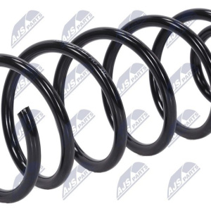 Molle ammortizzatori NTY ASZ-AU-010