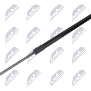 Ammortizatore pneumatico, Cofano bagagli / vano carico NTY AE-JG-006