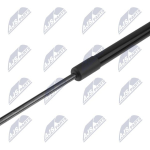 Ammortizzatore pneumatico cofano motore NTY AE-CT-065