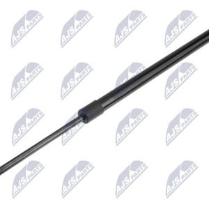 Ammortizatore pneumatico, Cofano bagagli / vano carico NTY AE-CH-089