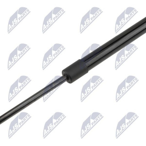 Ammortizatore pneumatico, Cofano bagagli / vano carico NTY AE-CH-081