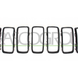 Modanatura decorativa / protettiva, Griglia radiatore PRASCO JE1022206