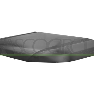 Cofano PRASCO MB8293100