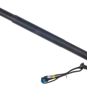 Motore elettrico, Cofano posteriore DENCKERMANN G100020