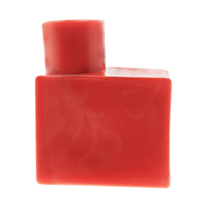 Copertura, Morsetto polo batteria EINPARTS EPACC119