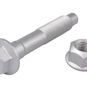 Bullone / Vite TEDGUM TED95781