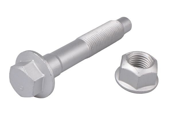 Bullone / Vite TEDGUM TED95781