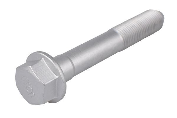 Bullone / Vite TEDGUM TED82351