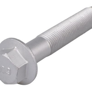 Bullone / Vite TEDGUM TED31153