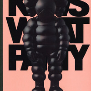 KAWS: what party