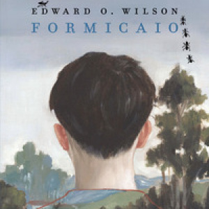 Formicaio