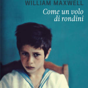 Come un volo di rondini