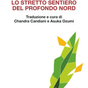 Lo stretto sentiero del profondo Nord