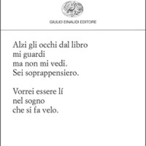 Il conforto dell'ombra